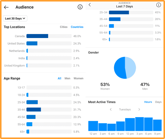 Instagram Analytics